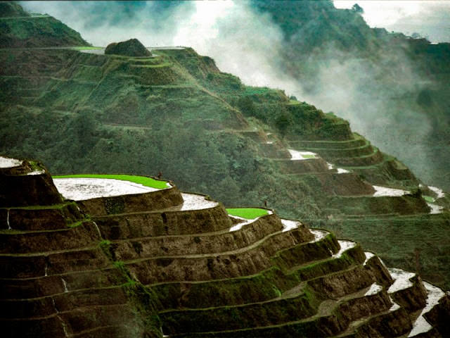 Banaue Rice Terraces, Philippines, in December 1980.