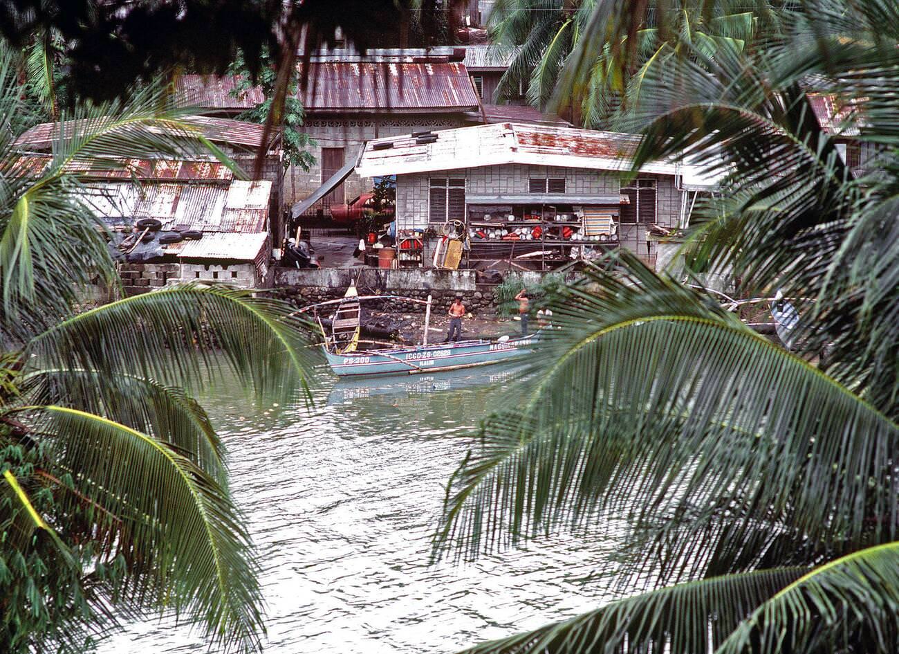 Riverbank houses seen through palm trees, 1981.
