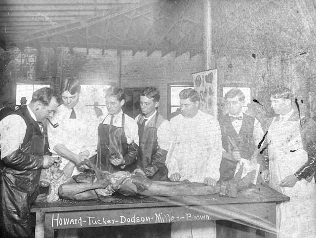 Historical Photos of Victorian Medical Students Learning Anatomy with Bare Hands and Cadavers