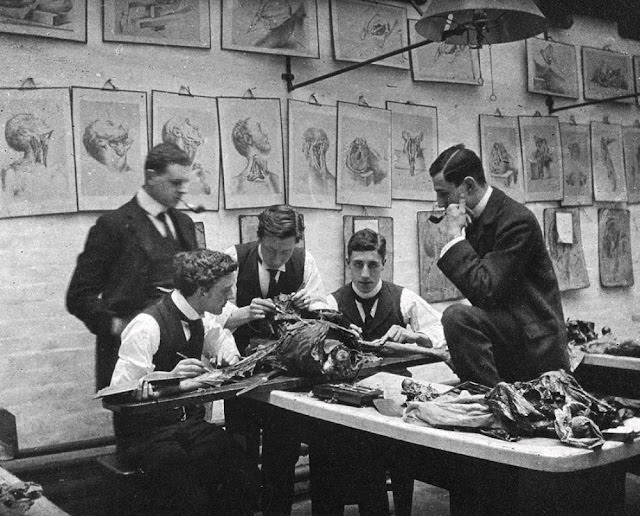 Historical Photos of Victorian Medical Students Learning Anatomy with Bare Hands and Cadavers