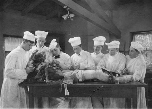 Historical Photos of Victorian Medical Students Learning Anatomy with Bare Hands and Cadavers