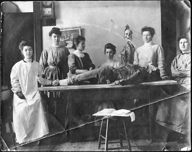 Historical Photos of Victorian Medical Students Learning Anatomy with Bare Hands and Cadavers