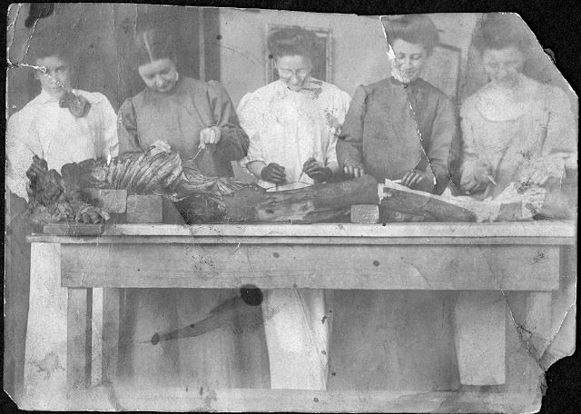 Historical Photos of Victorian Medical Students Learning Anatomy with Bare Hands and Cadavers