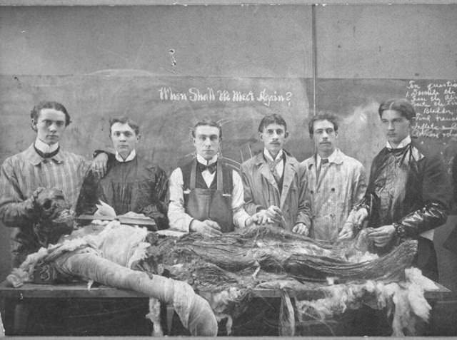 Historical Photos of Victorian Medical Students Learning Anatomy with Bare Hands and Cadavers