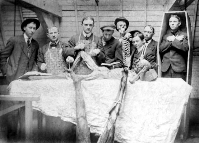 Historical Photos of Victorian Medical Students Learning Anatomy with Bare Hands and Cadavers