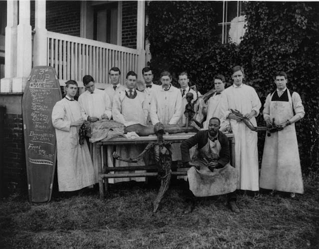 Historical Photos of Victorian Medical Students Learning Anatomy with Bare Hands and Cadavers
