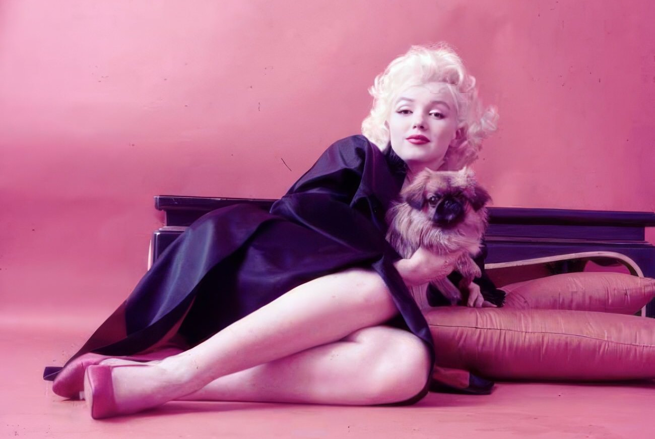 Marilyn Monroe with her dogs