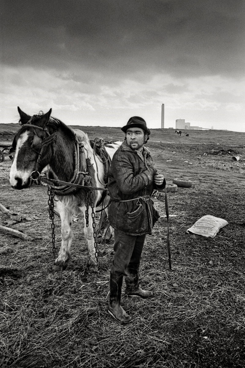 Blackie – Lynemouth Northumberland 1981