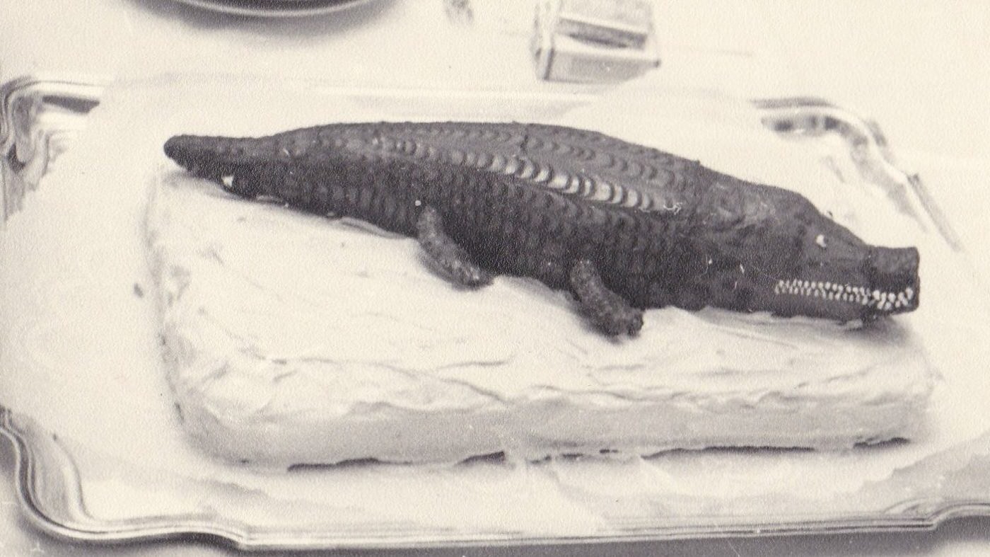 A Slice of Time: Vintage Photos of Birthday Cakes Through the Years