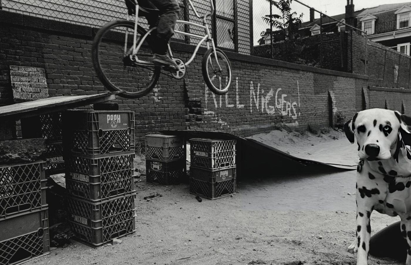 A dalmatian in an alley with a child riding a bicycle in the background, South Boston, 1975.