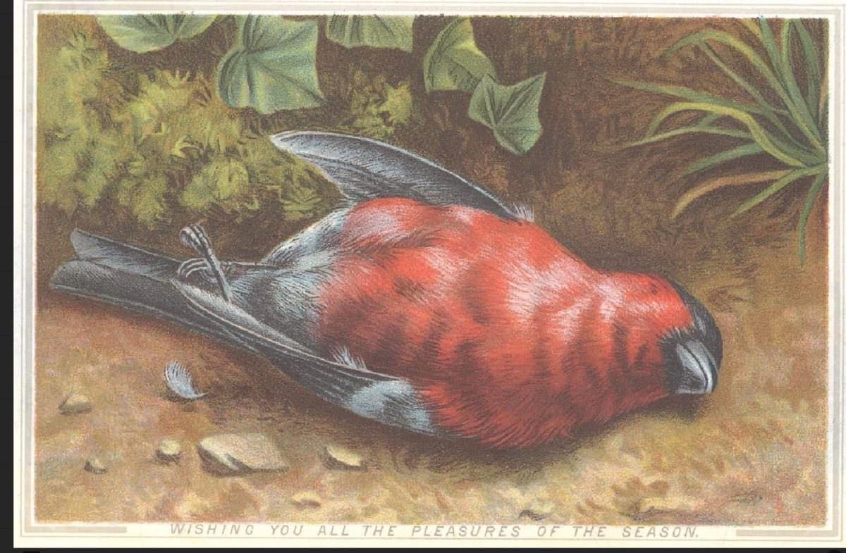 Hilariously Bizarre Christmas Cards from the Victorian Era featuring Animals