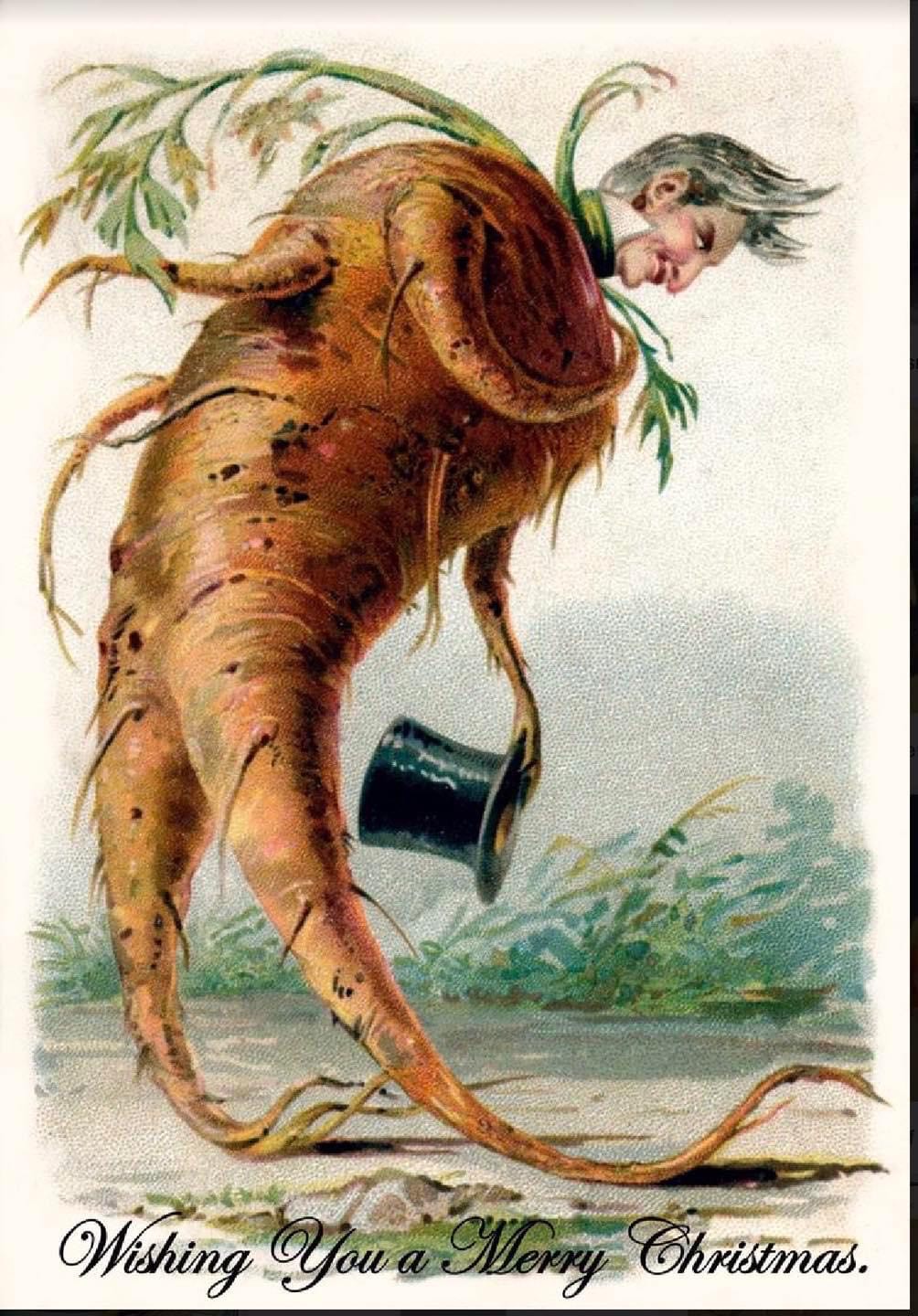 Hilariously Bizarre Christmas Cards from the Victorian Era featuring Animals