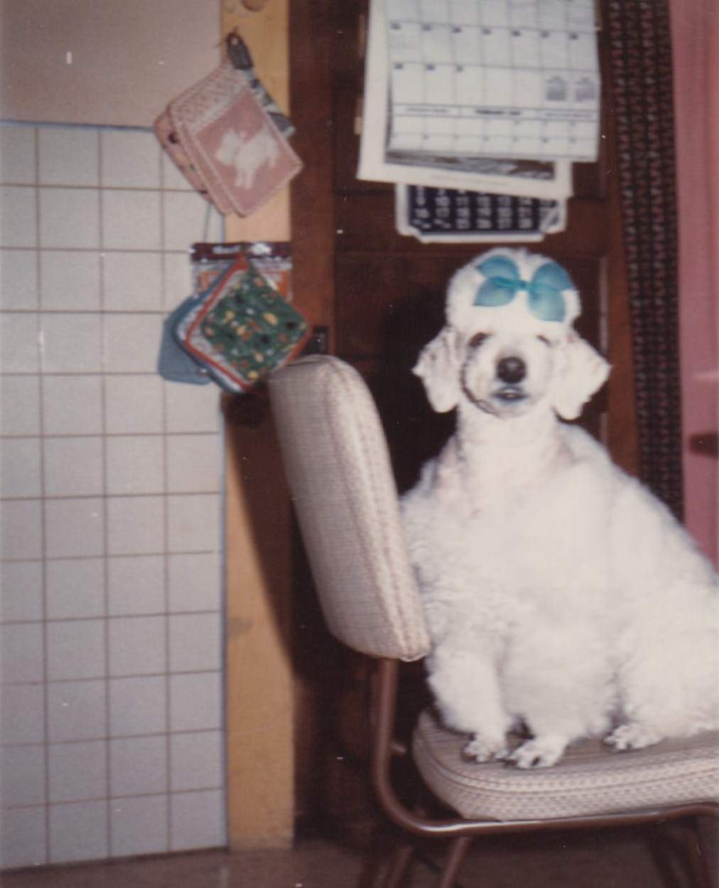 24 Cute and Adorable Vintage Photos from the Past that will Brighten Your Day