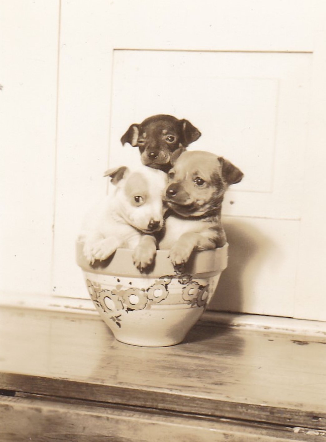 24 Cute and Adorable Vintage Photos from the Past that will Brighten Your Day