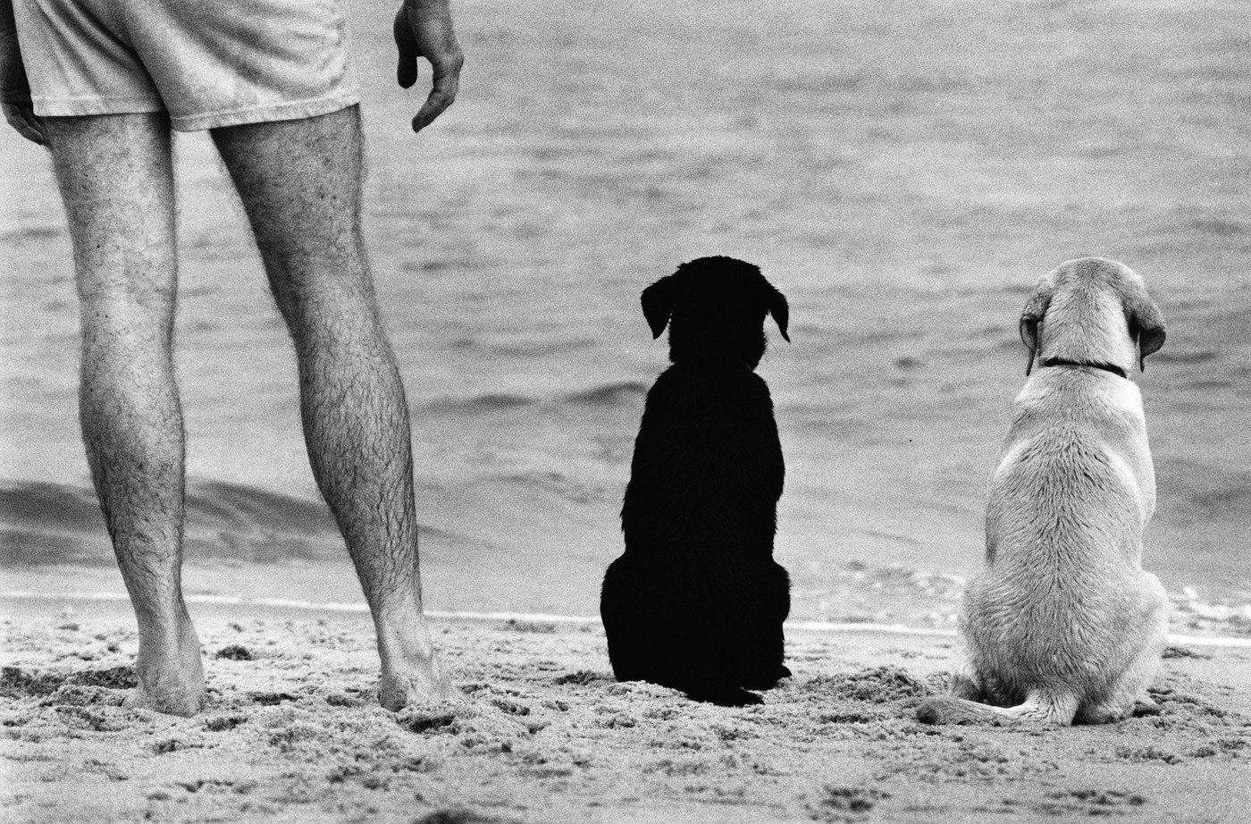 Amagansett, New York, 1990