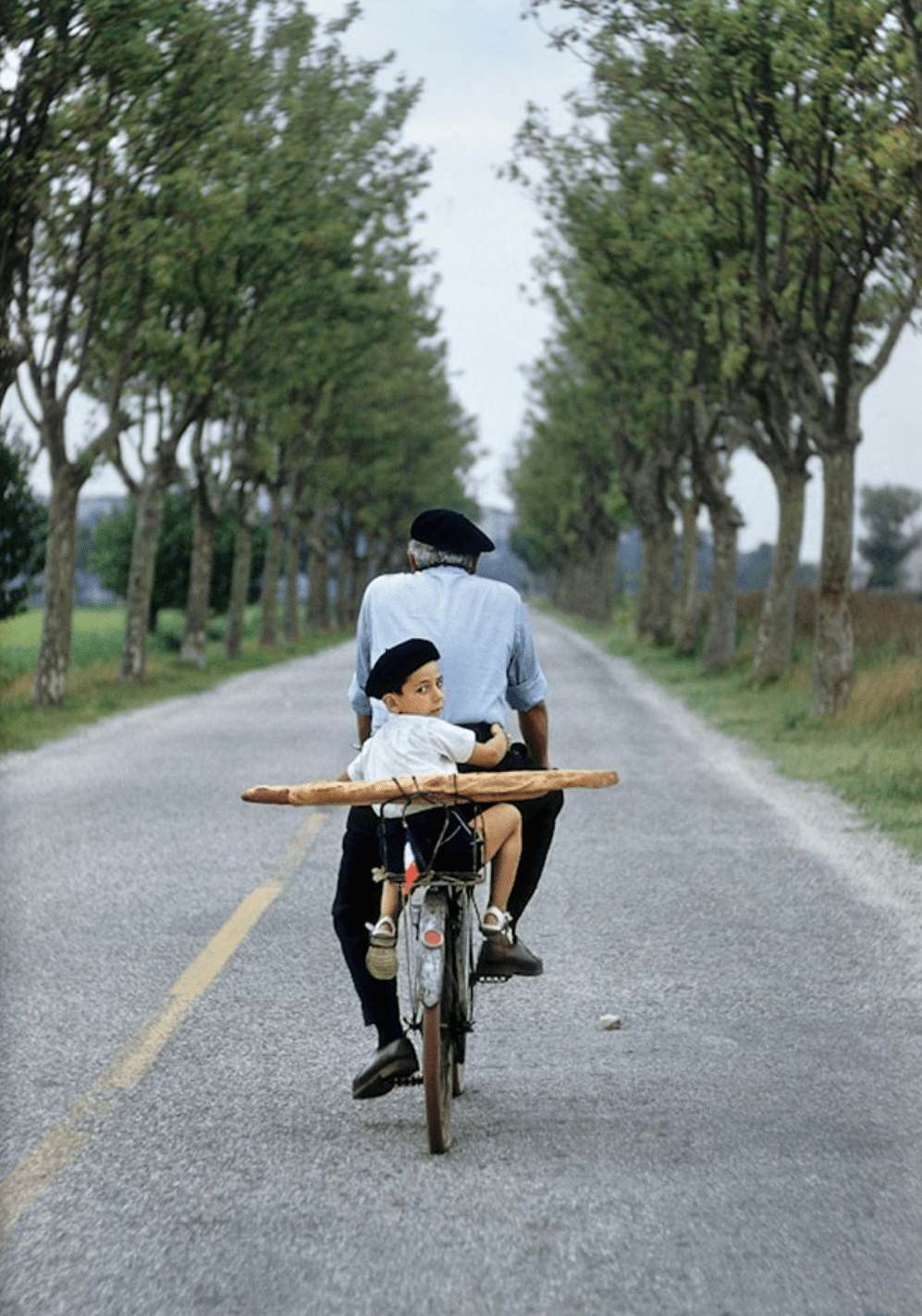 Provence, France, 1955