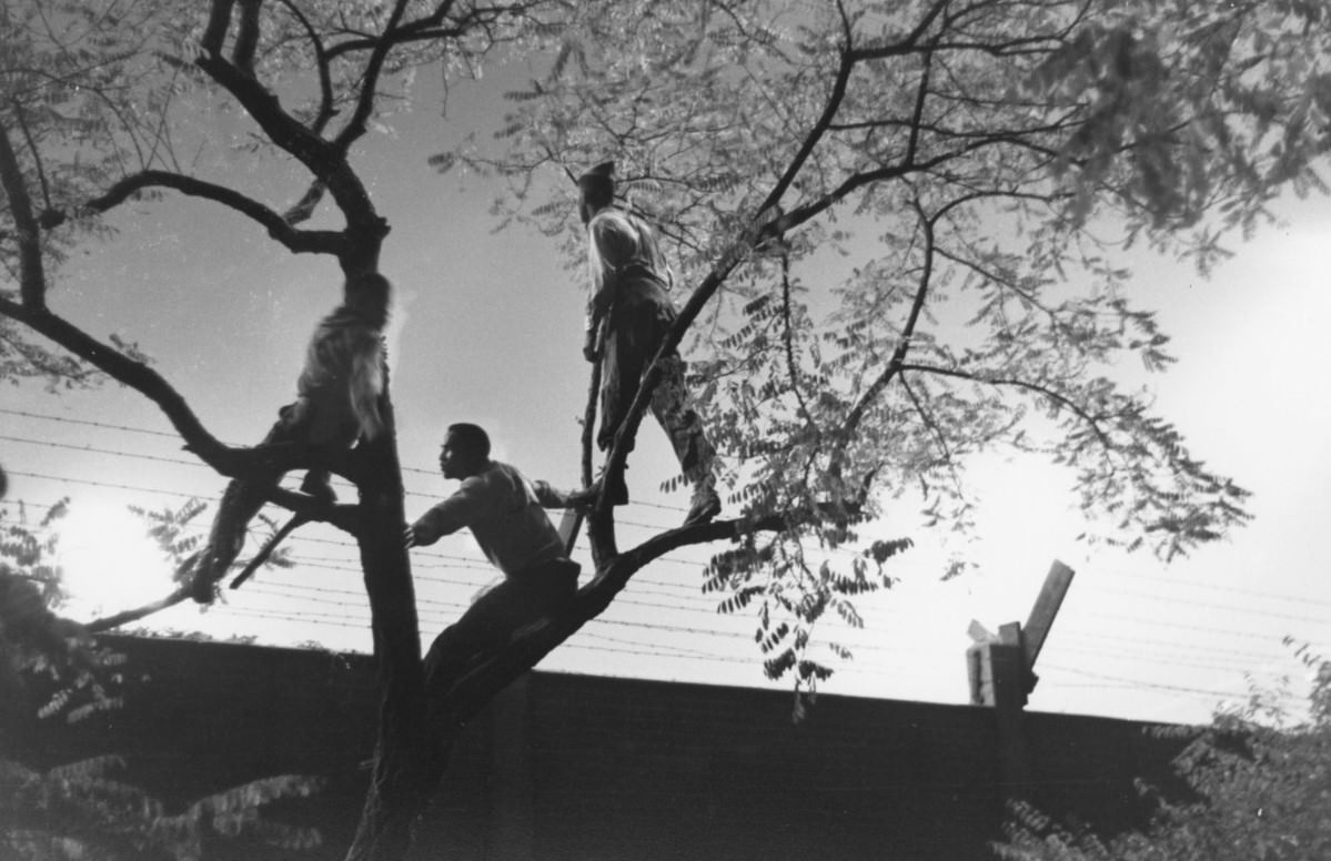 Schenely Park at night. Pittsburgh, Pennsylvania, 1950