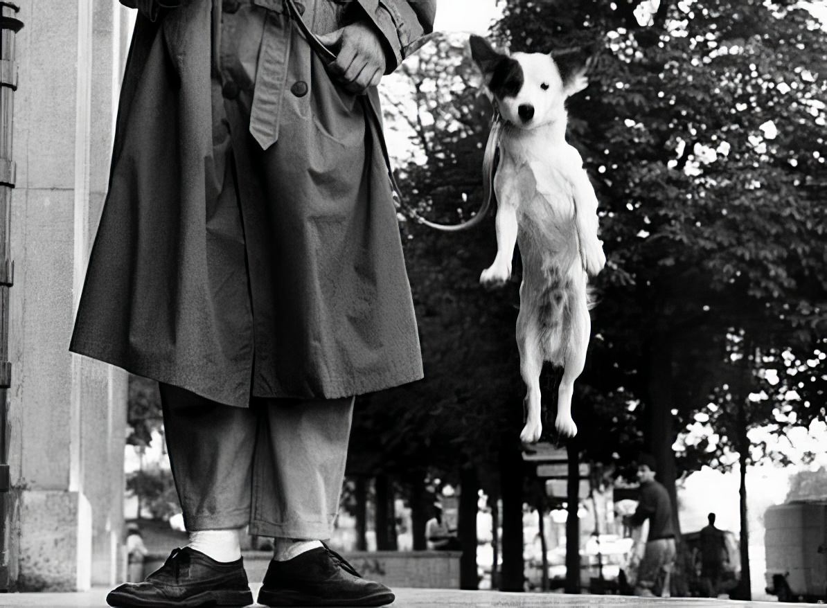 Elliott Erwitt: The Dog Whisperer of Photography