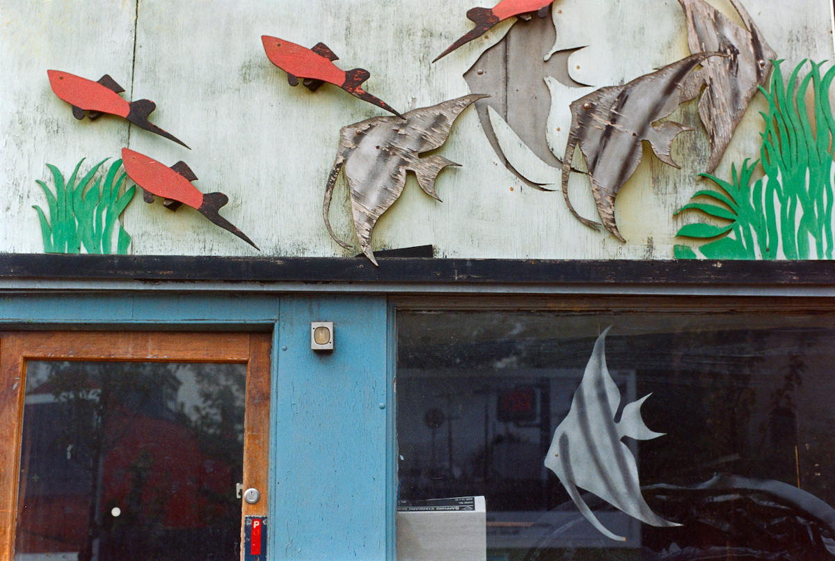 Tropical Fish, Lea Bridge Rd, Leyton, Waltham Forest, 1994