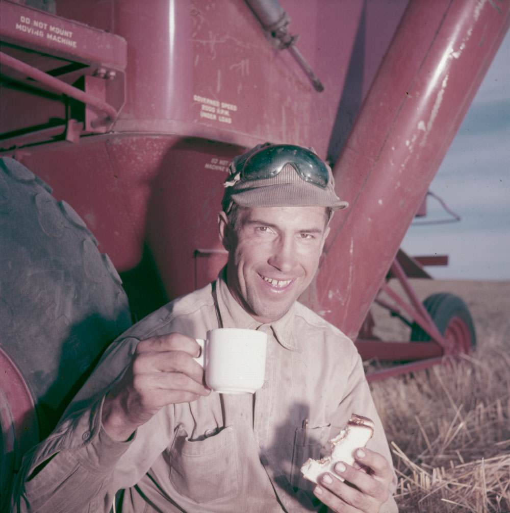 Howard Robbins has a quick coffee and sandwich during harvesting operations, Matador Cooperative Farm, Saskatchewan, 1953