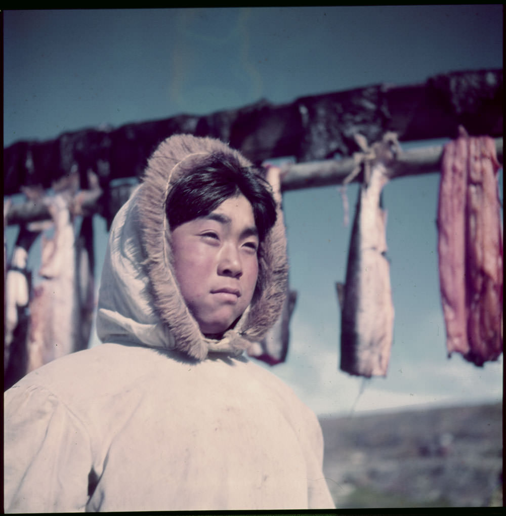 Inuit boy [Saviarjuk Usuarjuk] in front of rack of drying fish, Ivujivik, Quebec, 1951
