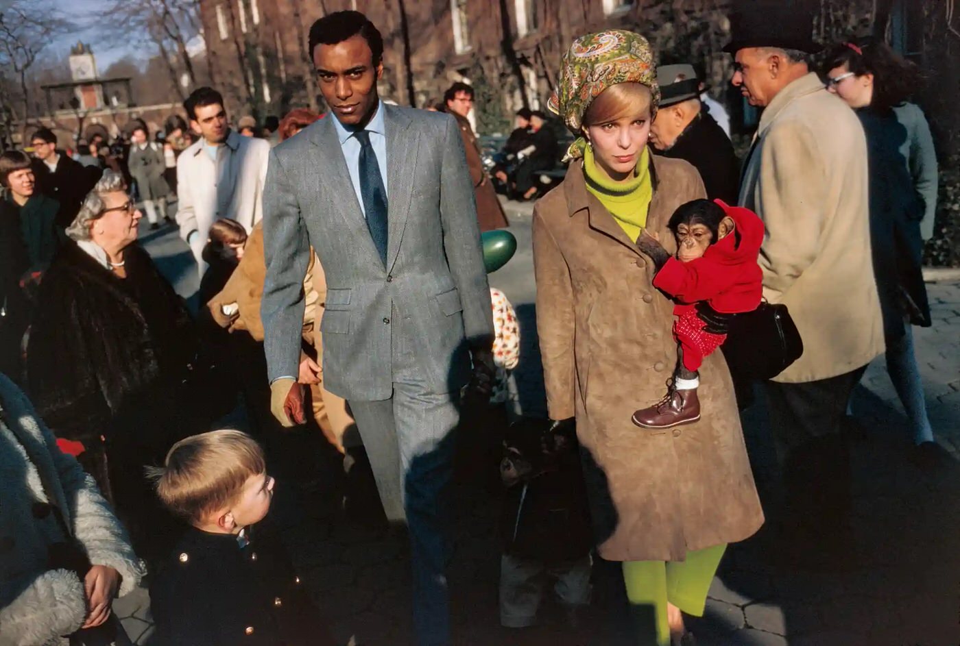 Central Park Zoo, New York City, 1967