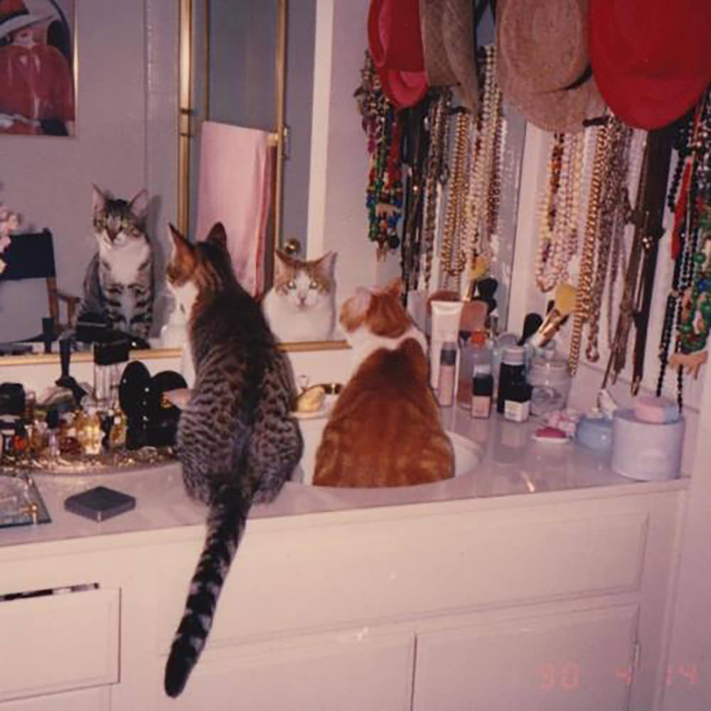 Reflections from the Past: A Look at Vintage Mirror Photos