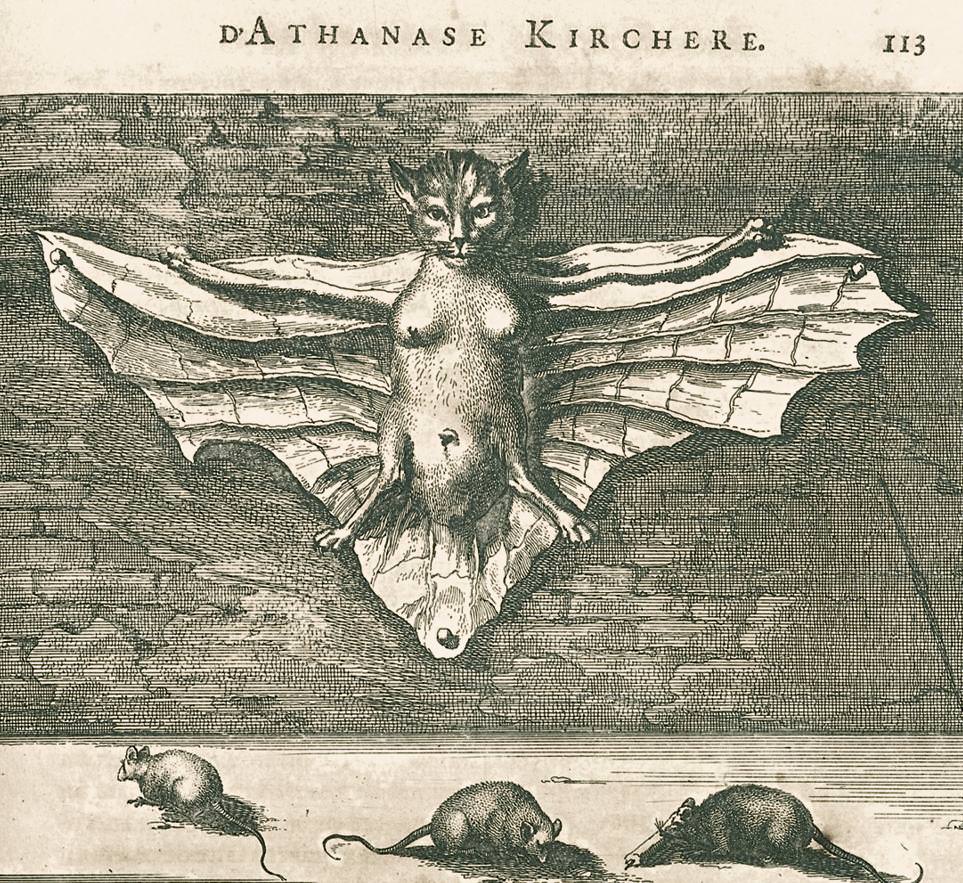mage of a cat with female torso and bat-like wings nailed to wall above three feeding mice from Athanasius Kircher’s La Chine p. 113.