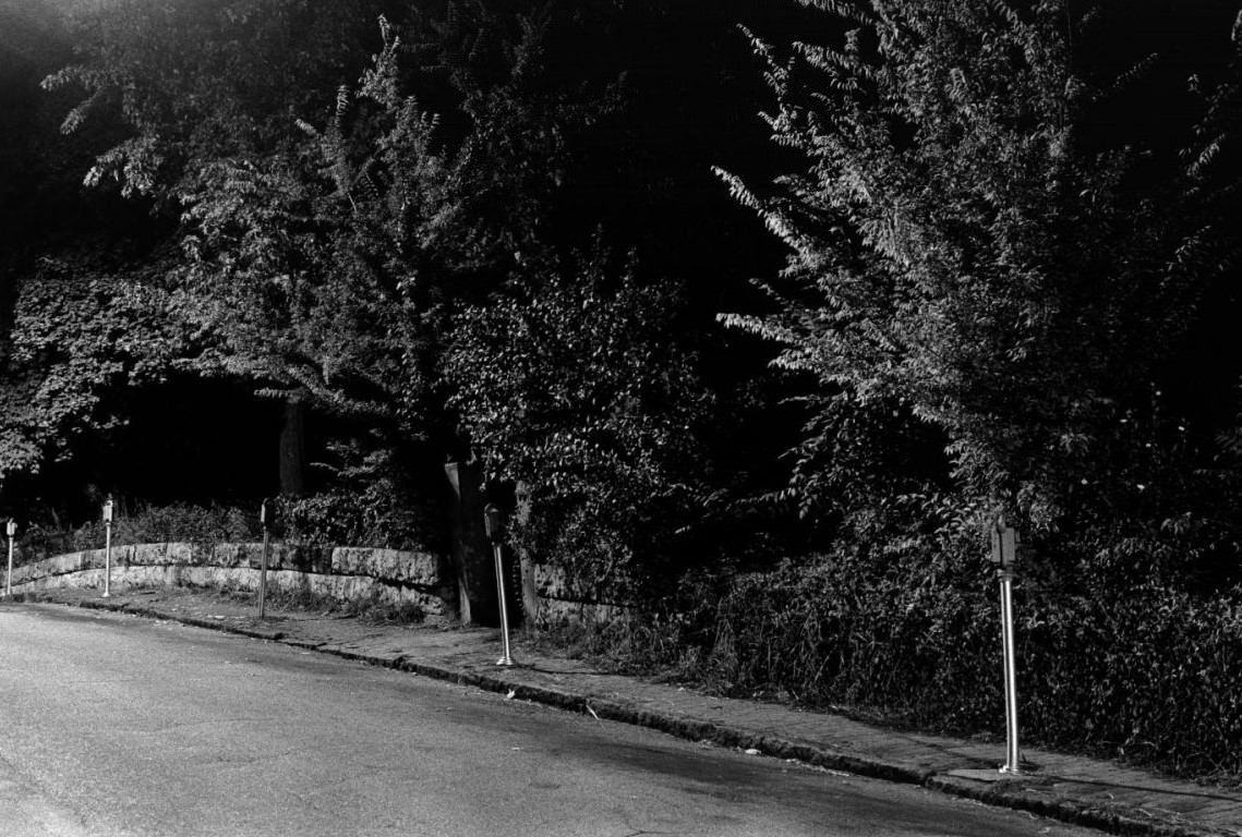 Windows into the Night: William Gedney's Photos of America from the 60s and 70s