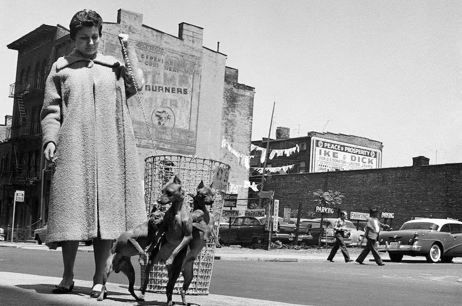 Brooklyn 1959 Truman