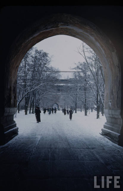Central Park