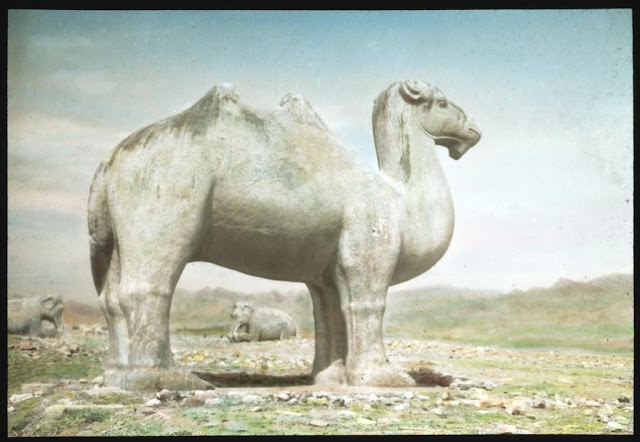 The marble statue of a standing camel on the Sacred Way of Ming Tombs
