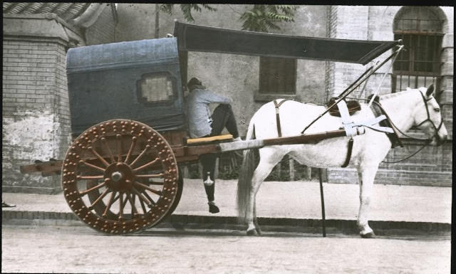 Horse drawn carriage