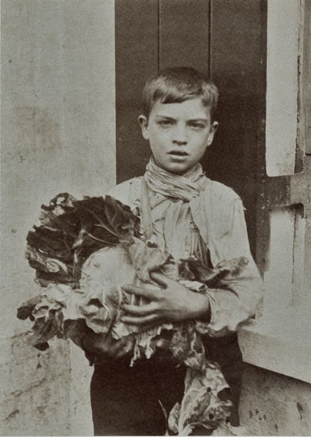 The Spitalfields Nippers: A Glimpse into the Lives of Destitute East End Children in the 1910s