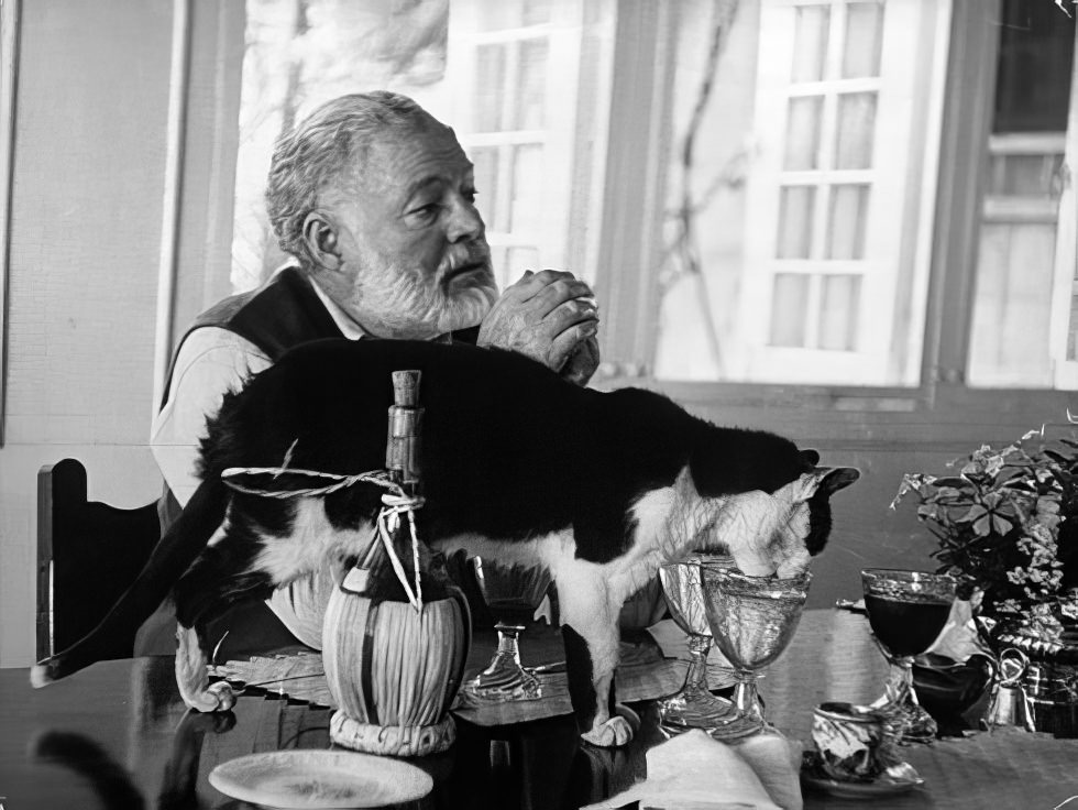 The Adventurous Life of Ernest Hemingway through these Amazing Historical Photos