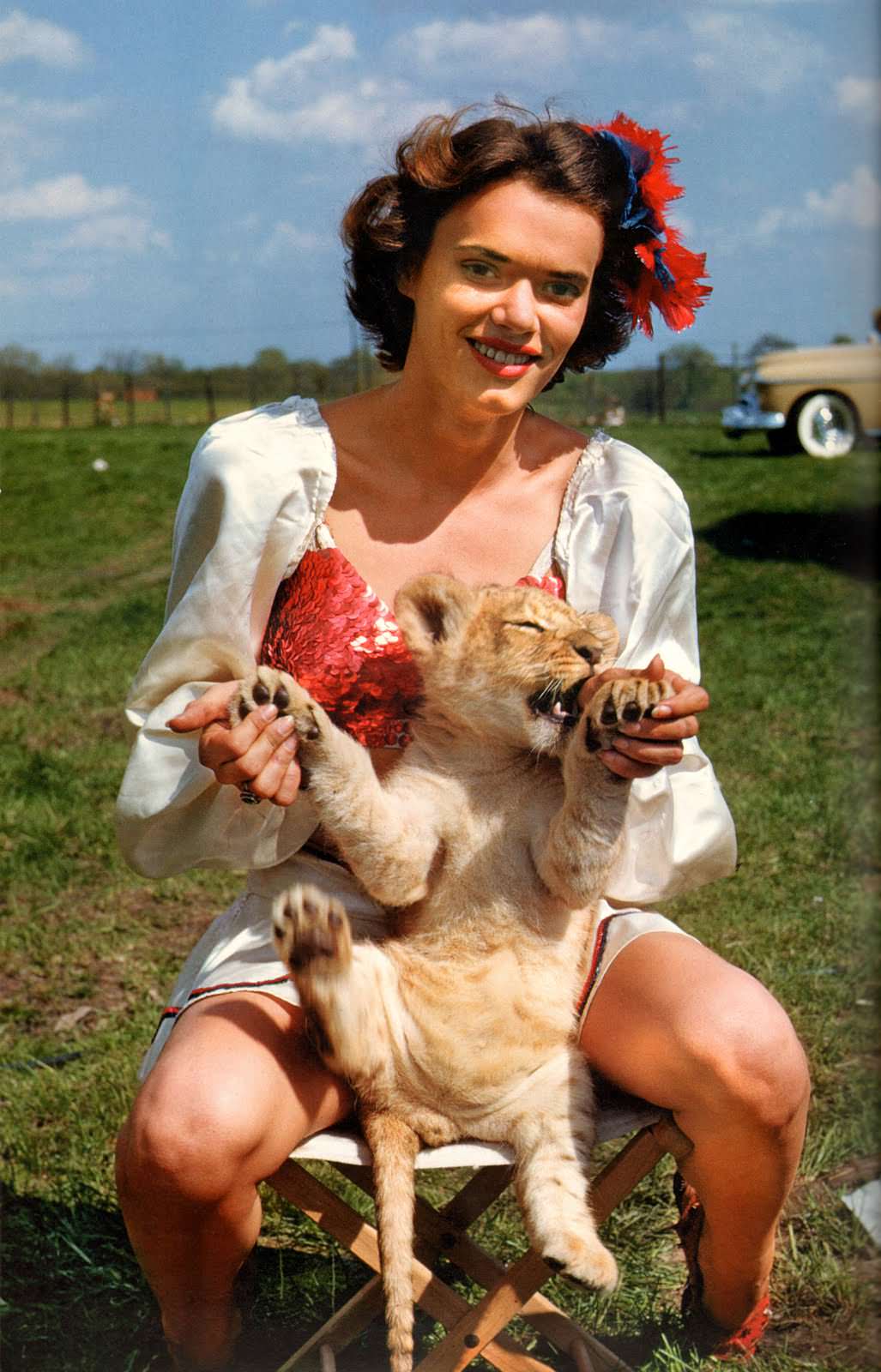 dailey bros circus, 1950