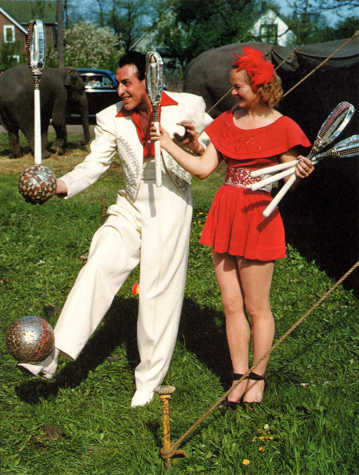 king bros circus, 1950