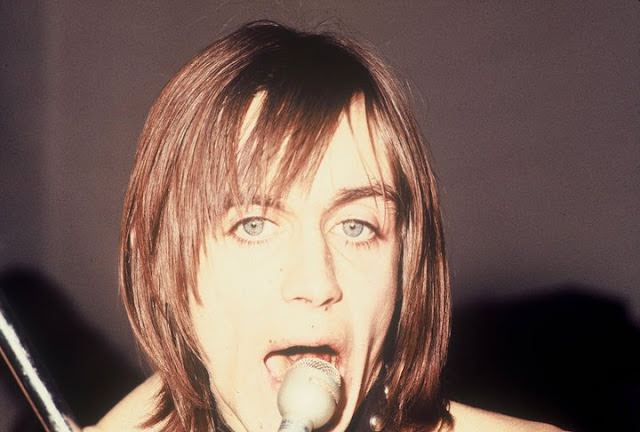 Iggy and the Stooges Invade Farmington High: A Night of Pure Punk Rock Chaos in Photos