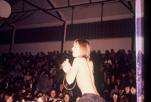Iggy and the Stooges Invade Farmington High: A Night of Pure Punk Rock Chaos in Photos