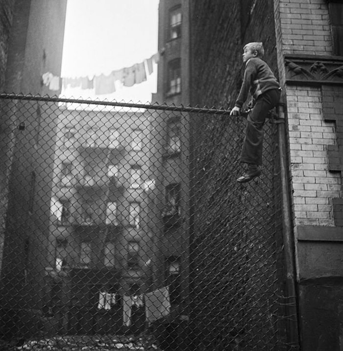 Shoe shine boys on a fence, 1947.