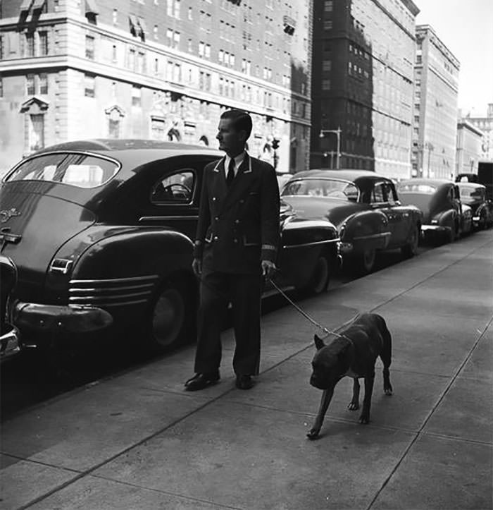 A doorman walking a dog, 1949.