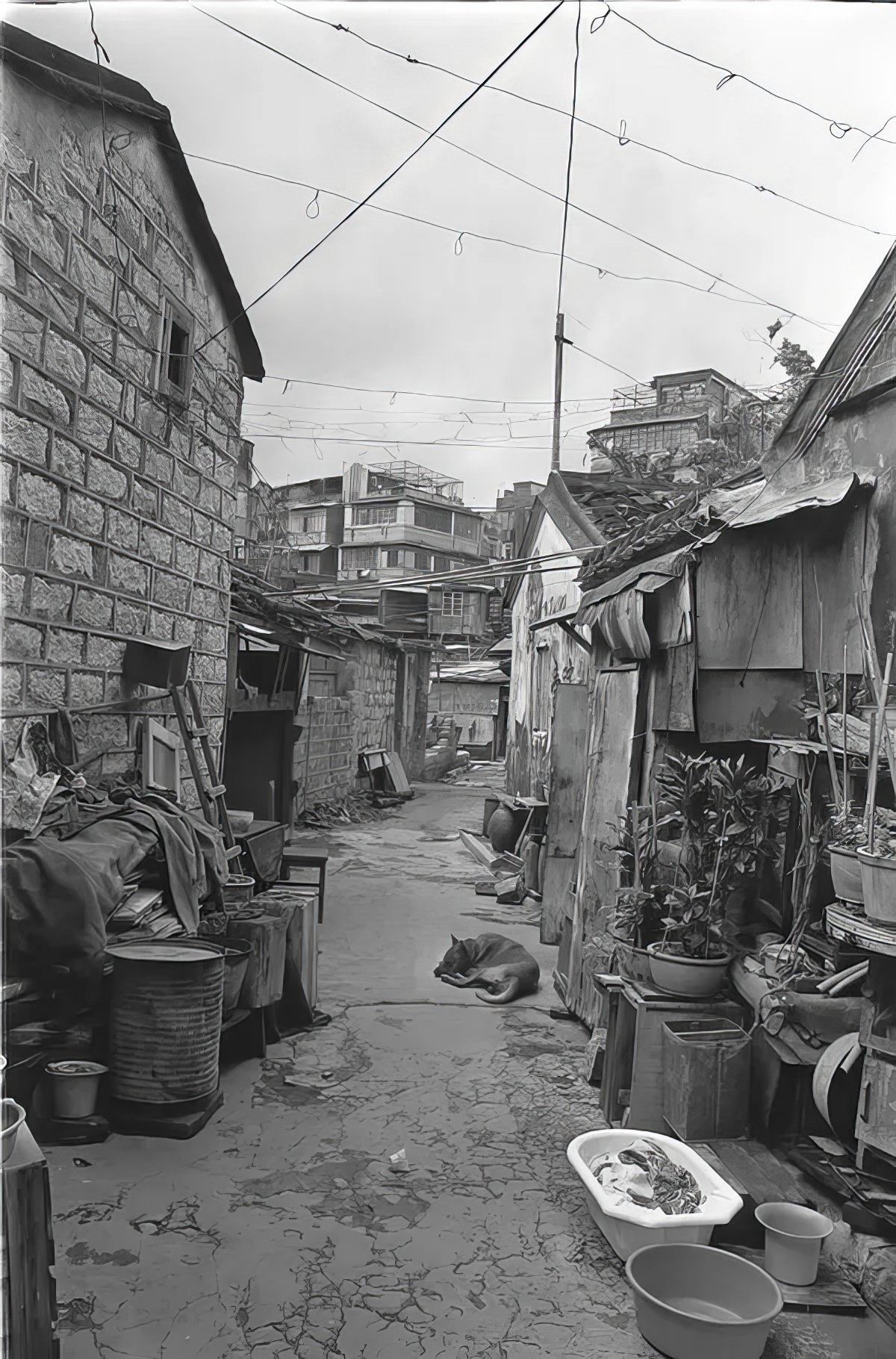 An alleyway in Kowloon Walled City.