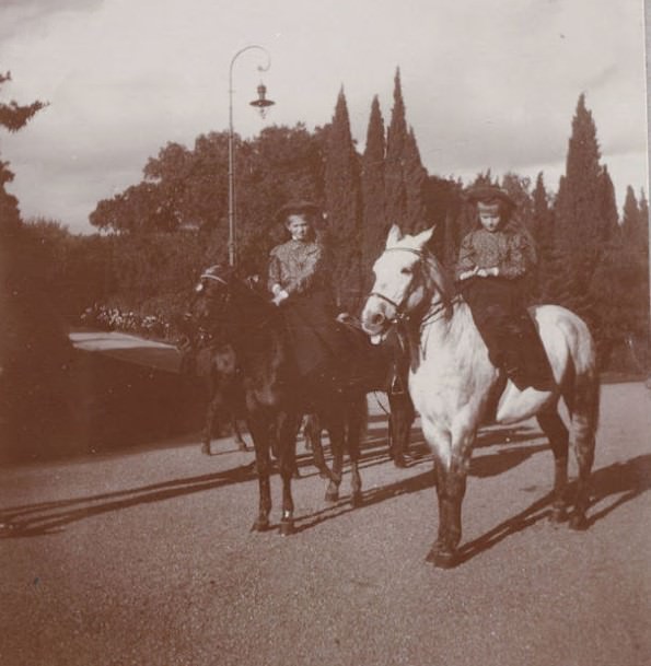 The Romanovs: A Glimpse into the Lives of Russia's Last Imperial Family with Photos