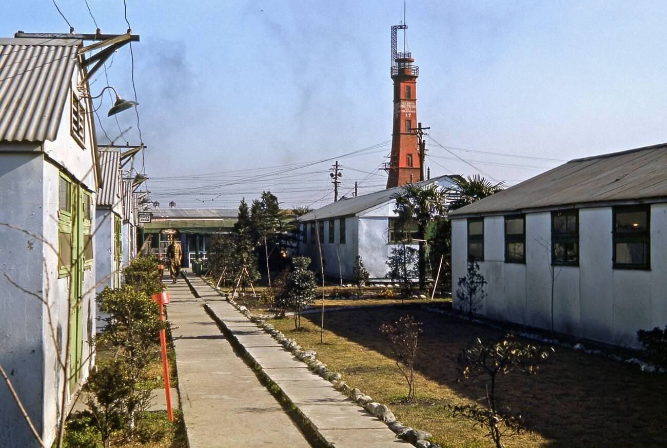 Barrack life for the US Army's 40th Infantry Division, 1953.