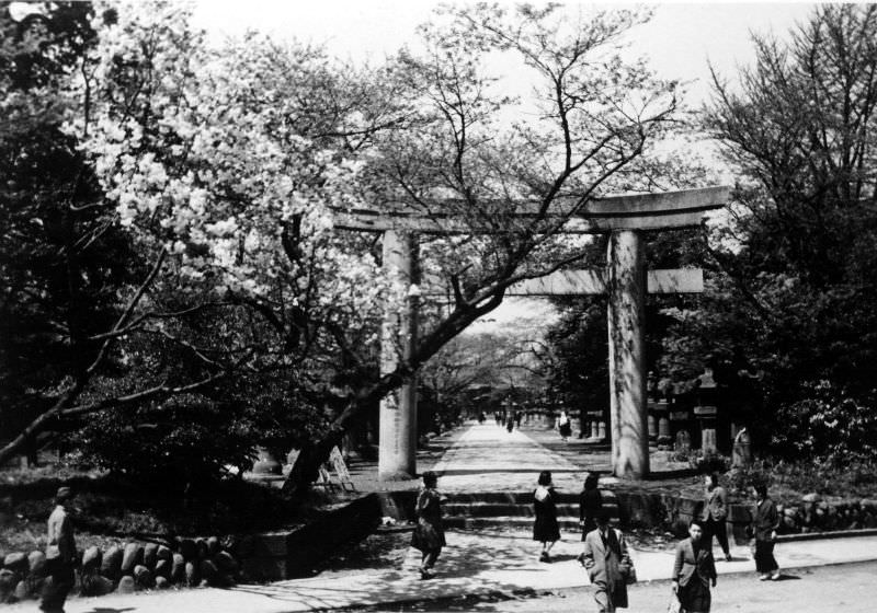 Ueno Toshogu Torii, 1940s.