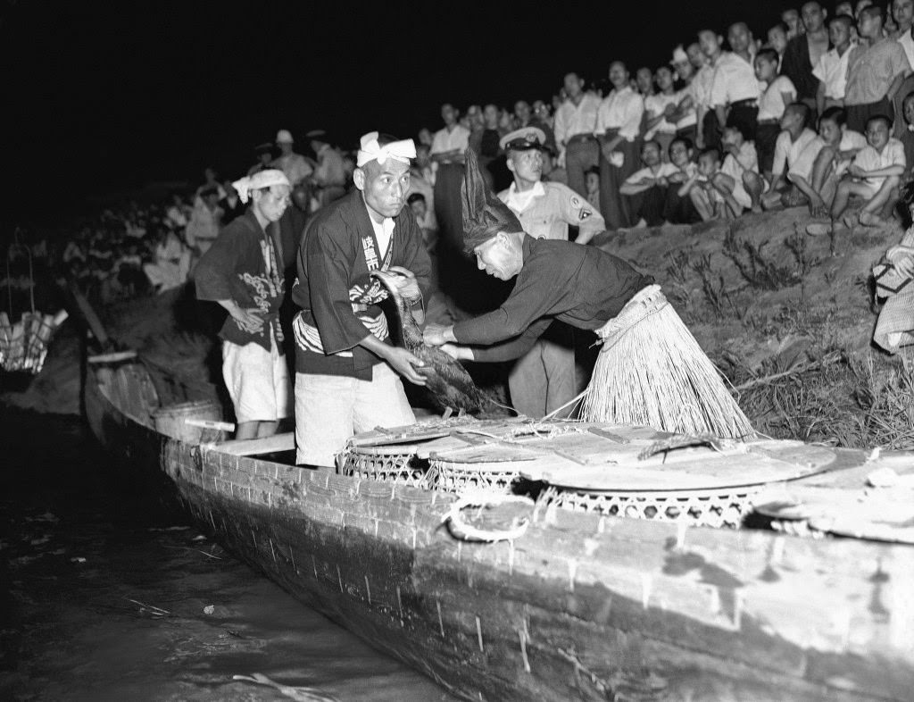 In traditional costume, bird fishermen demonstrate to a Tokyo crowd how to make the birds give up their catch of fish, 1949.