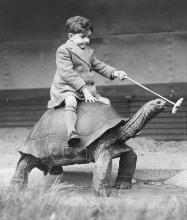 Most likely this wasn’t a very fast ride.