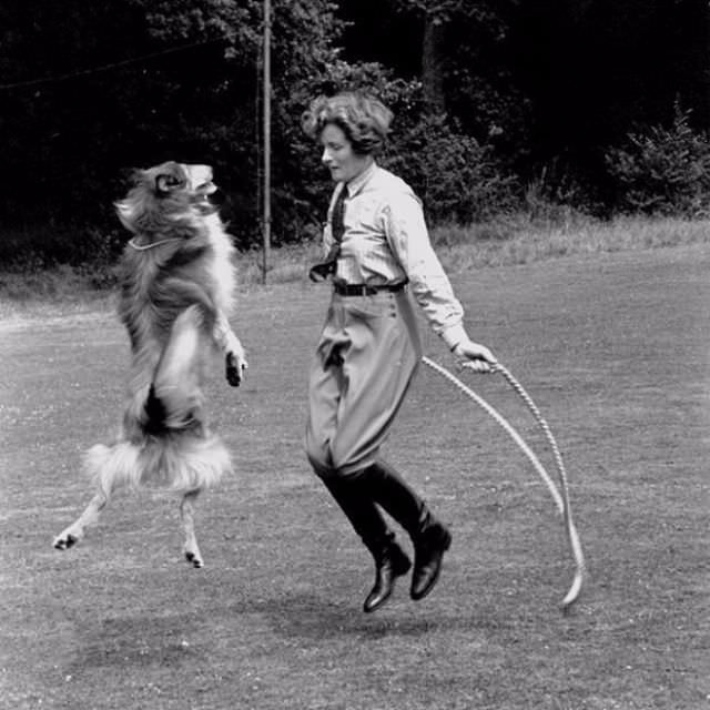 Because taking your dog for a walk was getting boring.