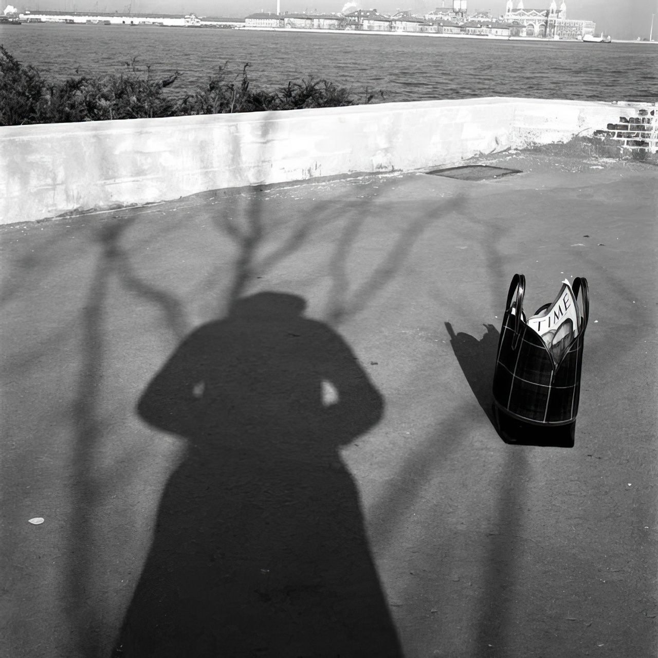 Stunning and Creative Self-Portraits by Vivian Maier that Redefine the Selfie