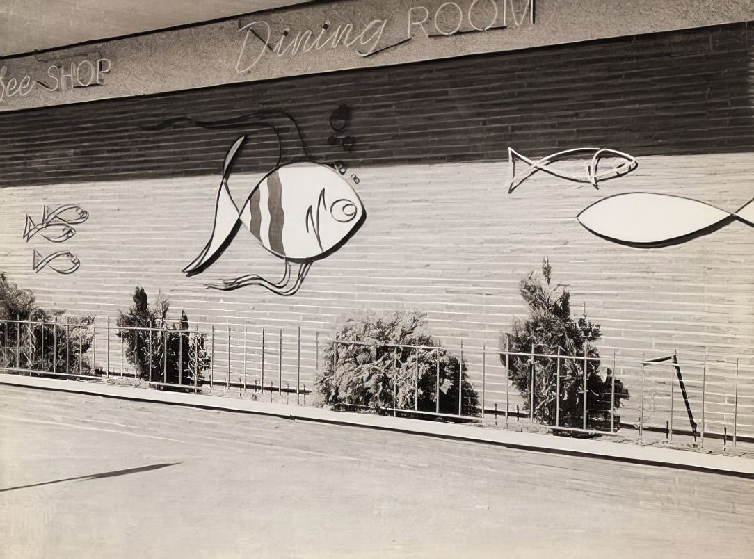 A Photographic Journey Through 1960s Washington Signs
